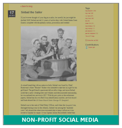 Nonprofit Social Media